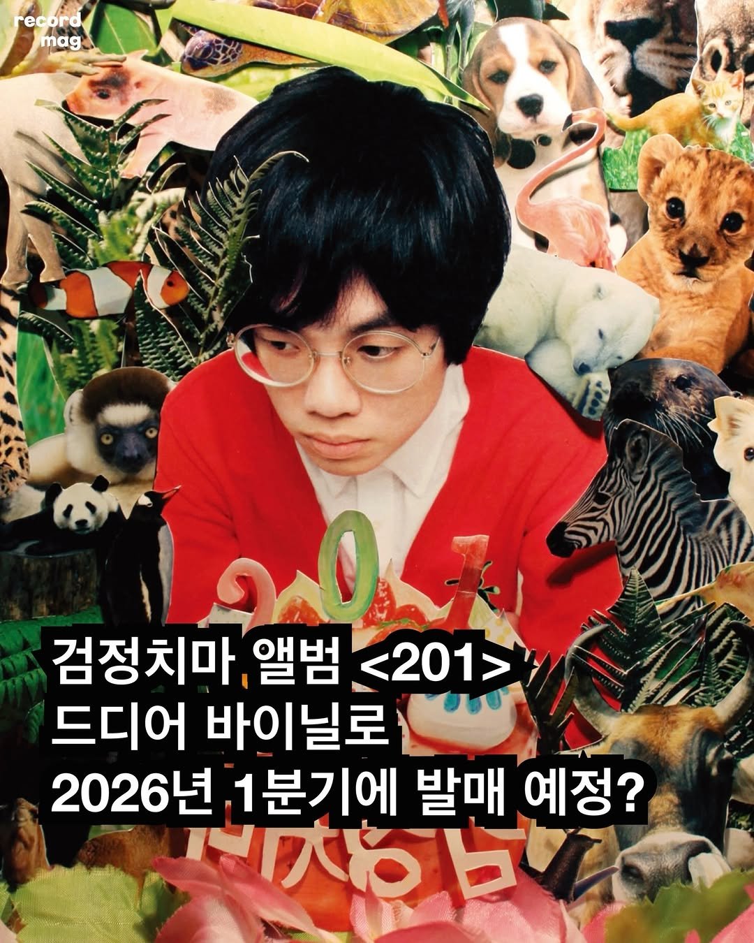 Photo by record magazine 레코드 매거진 on February 23, 2026. May be an image of one or more people, bangs, poster, magazine and text that says 'record mag 검정치마 앨범 <201> 드디어 바이닐로 2026년 1분기에 발매 예정? 正けわし 心大る'.