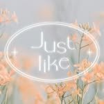 justlike_studio 프로필 사진
