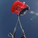 skydiveincident 프로필 사진