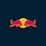 redbullf1_ 프로필 사진