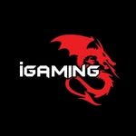 igamingcr 프로필 사진