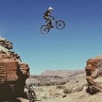 sendtaur 프로필 사진