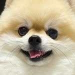 makdoong_i 프로필 사진