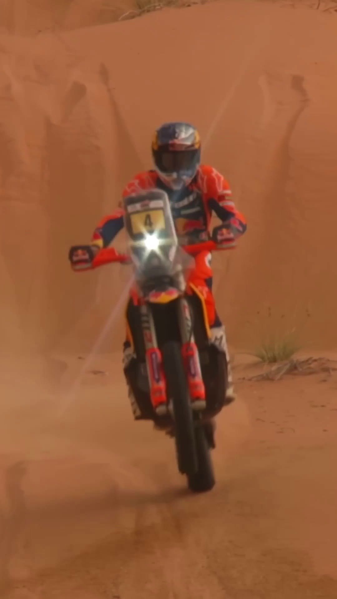 redbullmotorsports 게시물 이미지: Desert conquered, title secured 🌵👑 #W2RC...