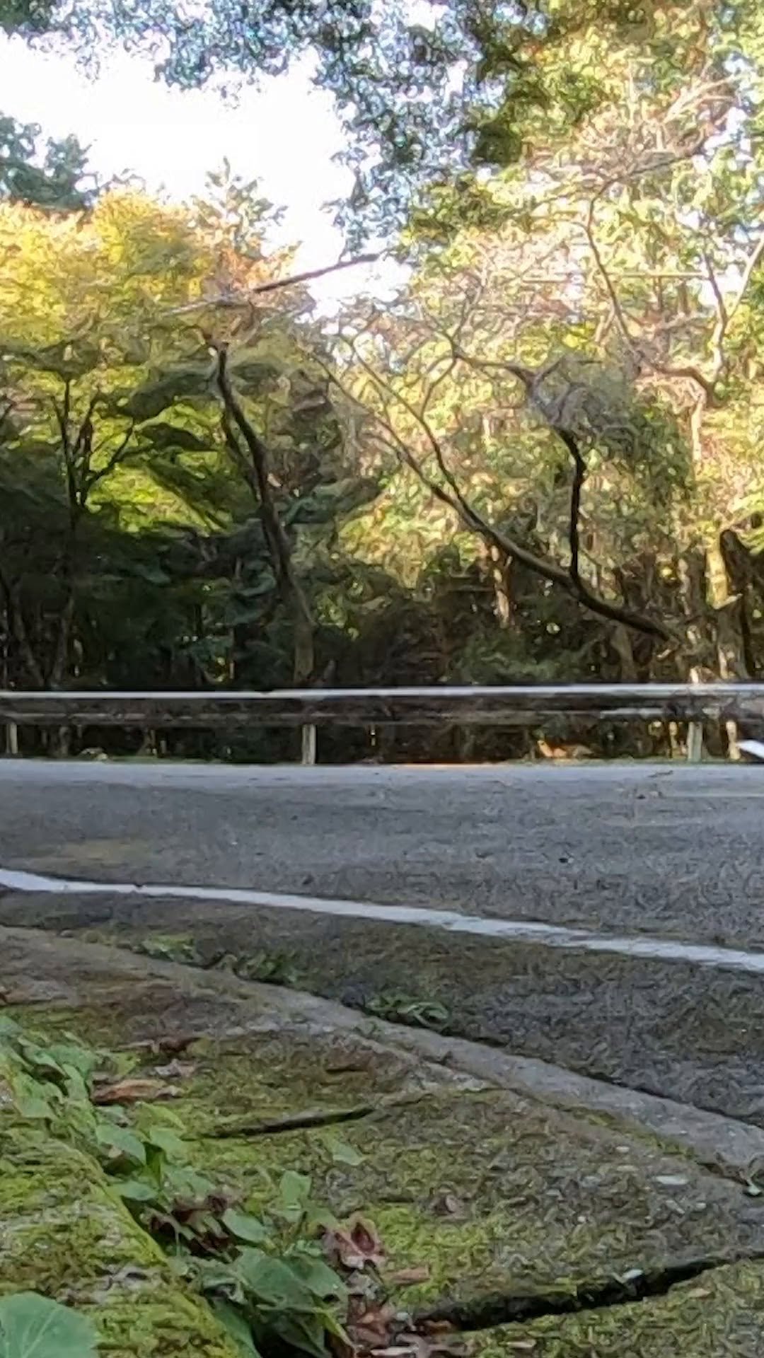 redbullmotorsports 게시물 이미지: Drivers call it precision. The curb calls it...