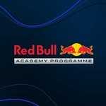 redbullf1academy 프로필 사진