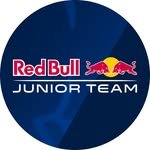 redbulljuniorteam 프로필 사진