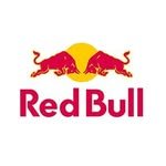 redbulliceland 프로필 사진