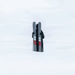 candidethovex 프로필 사진