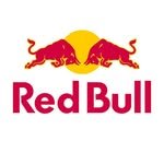 redbullsnow 인스타그램 프로필 사진