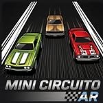 minicircuitoar 프로필 사진