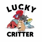 luckycritterco 프로필 사진