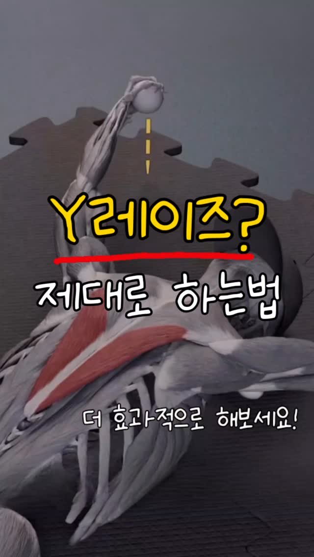 rehab.shouldeok 게시물 이미지: Y raise 효과적으로 하는법 ✔️

많은 분들이 엎드린 자세에서 
Y레이즈를...
