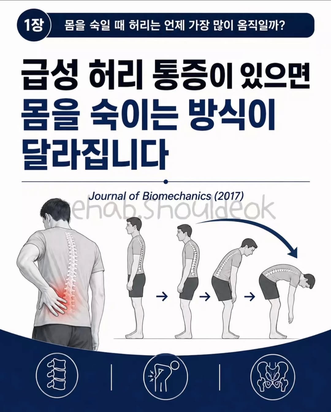 rehab.shouldeok 게시물 이미지: ⚡️허리가 아프면
몸을 숙이고 다시 펼 때 움직임이 달라집니다.

이번 논문에서는...