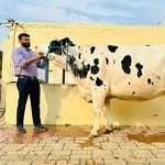 jolly_dairy_farm 프로필 사진