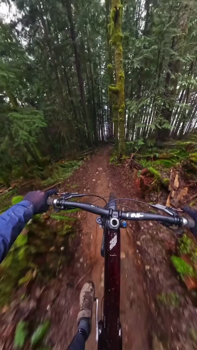 remymetailler 게시물 이미지: What's a good caption for:
"It was wet but I...