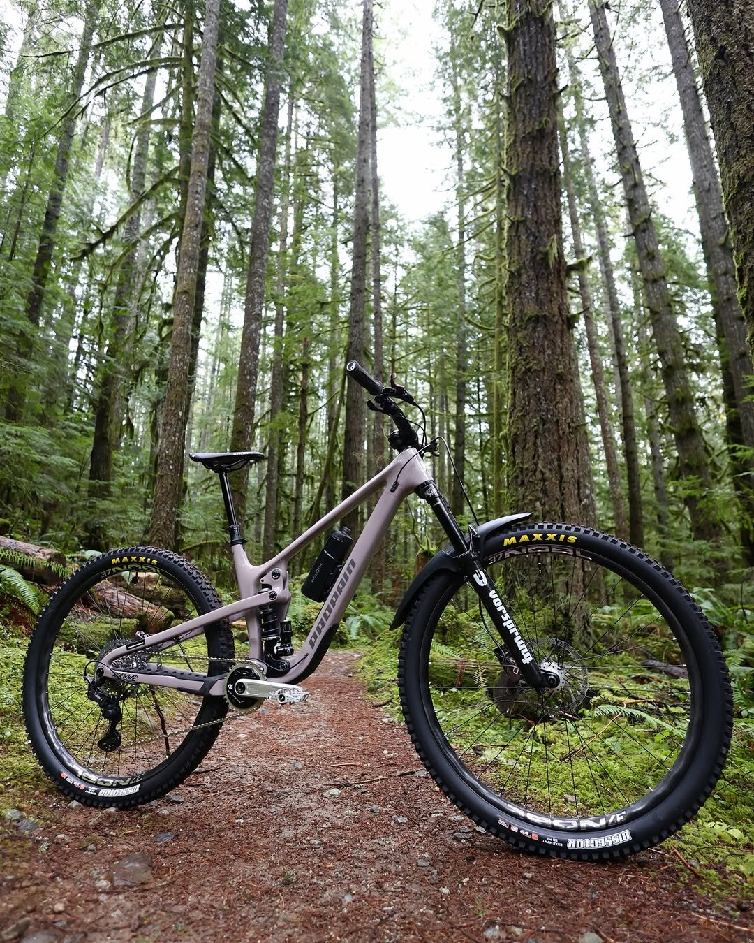 Photo shared by Rémy Métailler on February 06, 2026 tagging @project321, @propain_bicycles, @oneupcomponents, @noblwheels, @vorsprungsuspension, and @ridewrap. May be an image of bicycle and text.