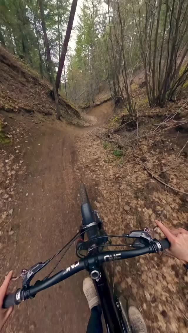 remymetailler 게시물 이미지: The entire trail is a blast.
Trust me. 
Shot...