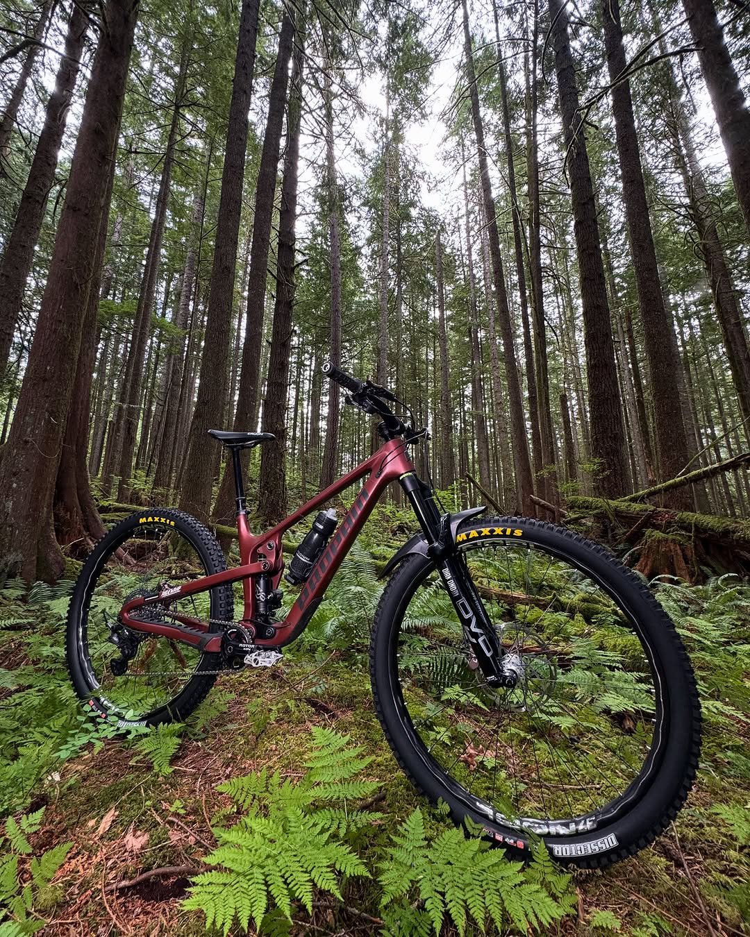 Photo shared by Rémy Métailler on September 10, 2025 tagging @jensonusa, and @propain_bicycles. May be an image of bicycle and text.