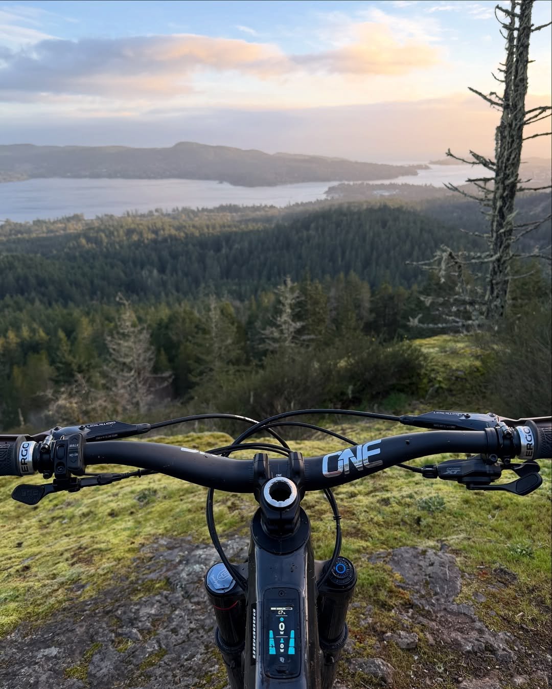 Photo by Rémy Métailler on April 17, 2026. May be an image of text that says 'ONF -ボ'.