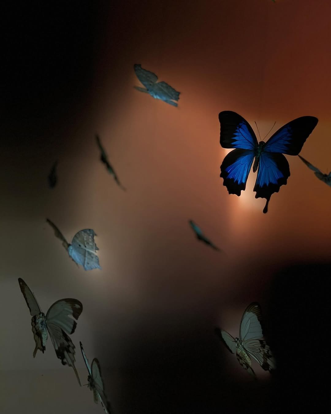 Photo by IRENE on November 09, 2025.