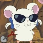 ruru_zzal 프로필 사진