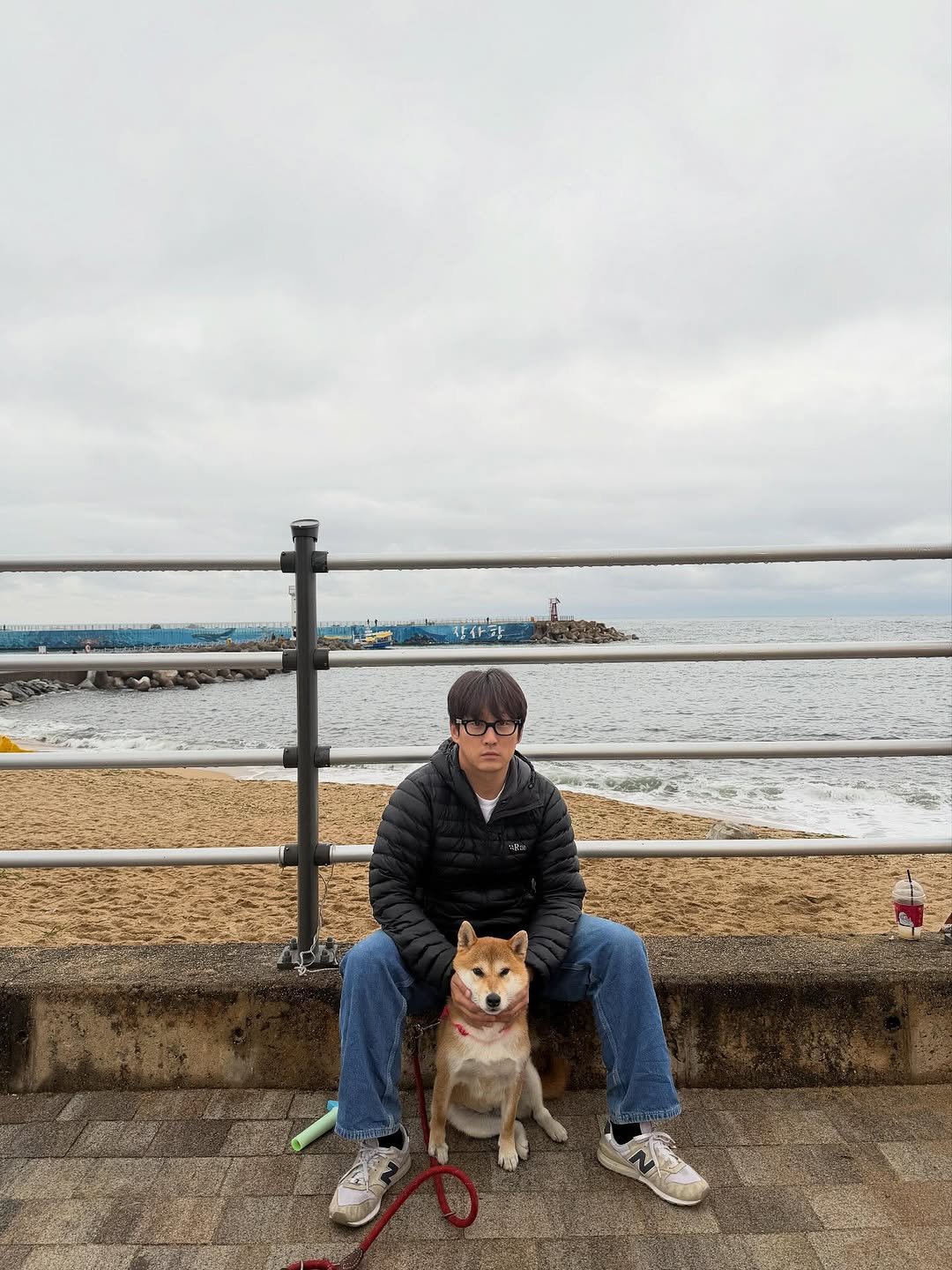 Photo by 남준영 on November 09, 2025. May be an image of Norwich terrier, ocean and text.