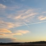 thanksjoy_sohn 프로필 사진