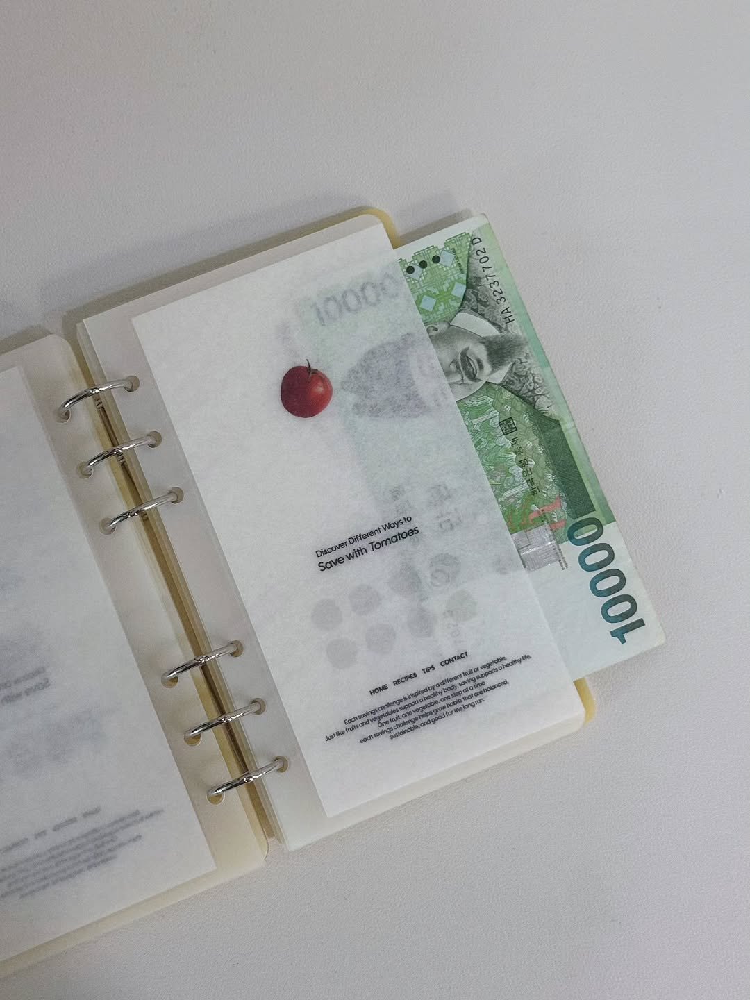 Photo by 르미 | Save slowly, grow surely 🌱 on February 21, 2026. May be an image of money, diary, book, calendar, binder and text.