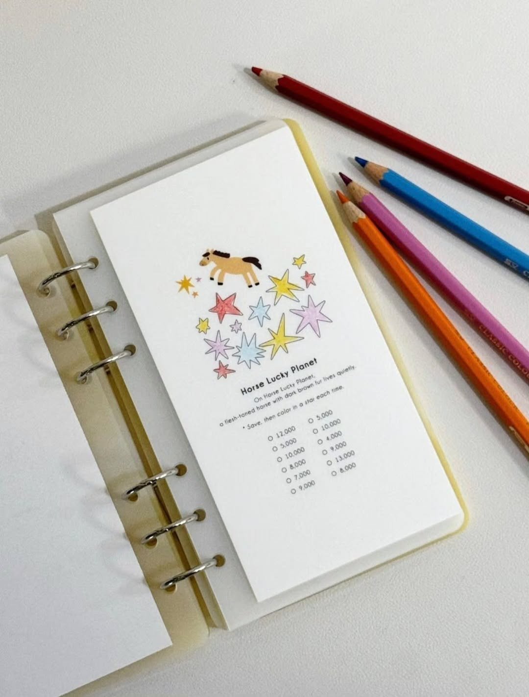 Photo by 르미 | Save slowly, grow surely 🌱 on January 13, 2026. May be an image of pencil case, clipboard, binder, pen and calendar.