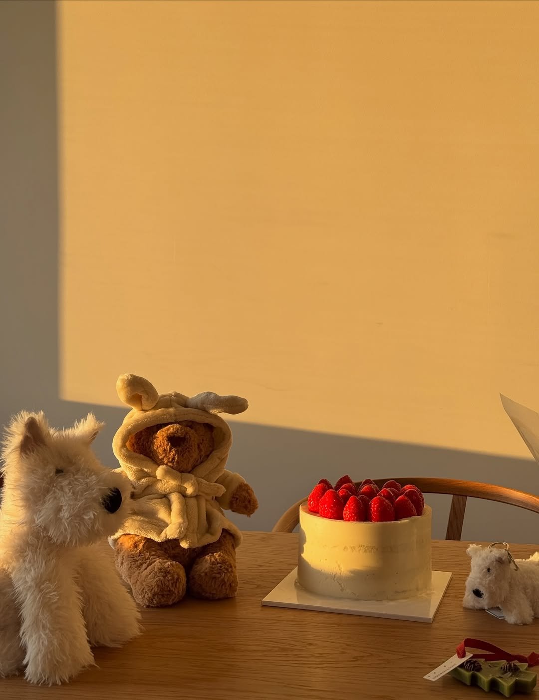 Photo shared by Sun Hyerim on December 24, 2025 tagging @s.y.park____. May be an image of bear, cake, fruitcake and text.