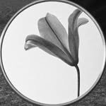 ridi.home 프로필 사진