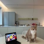 joli_bami 프로필 사진