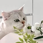 madis_house 프로필 사진