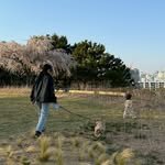 namoone__ 프로필 사진