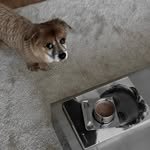 yunehome.kr 프로필 사진