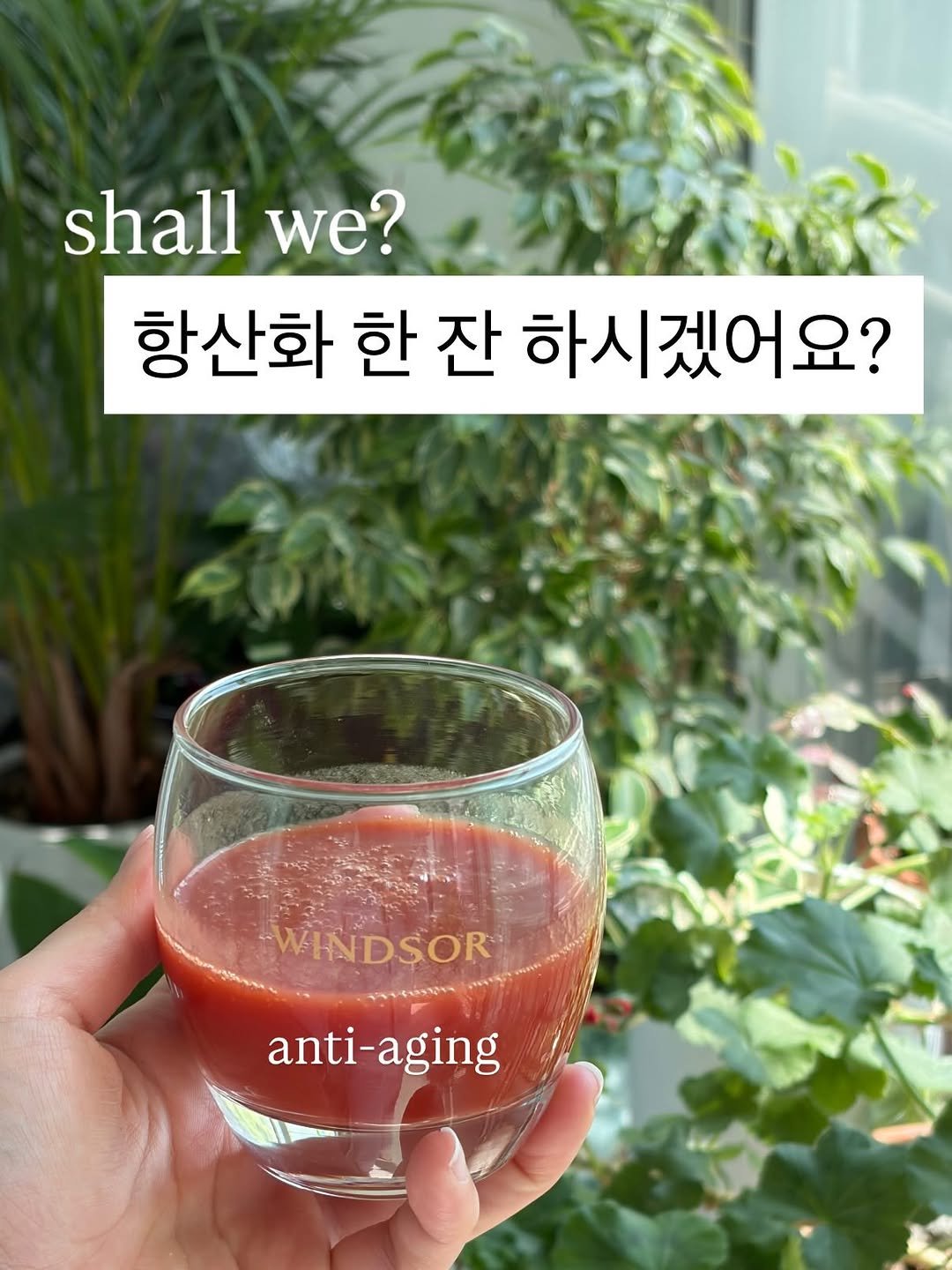 reyoumiso 게시물 이미지: 곱게 나이들고 싶어요! 이제는 알콜보다 항산화가 땡기는 저 ..
요즘 빠진 #항산화...