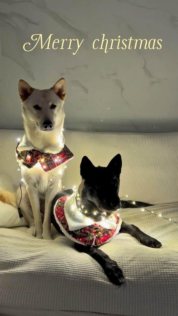 richyaaaaaa 게시물 이미지: 엄마는 크리스마스준비중🎅🏻🎄❤️