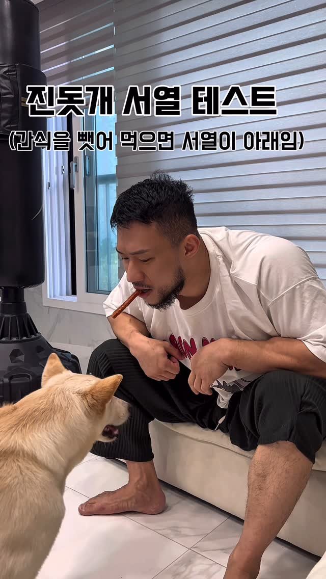 richyaaaaaa 게시물 이미지: 이놈새끼 실세를 알아보네🐕