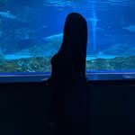 mnvv302 프로필 사진