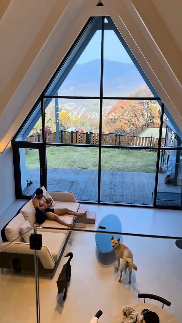 richyaaaaaa 게시물 이미지: 가을 가족여행🍁🐕🐕‍🦺🍂