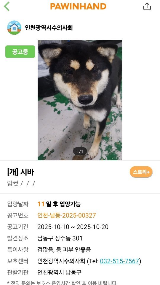 richyaaaaaa 게시물 이미지: 아직 상황 파악중입니다. 무단으로 아이를 데리고 간 거...