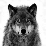 seok_lj 프로필 사진