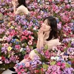 kkangddol 프로필 사진