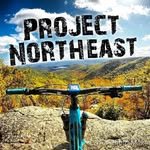 projectnortheast 프로필 사진