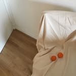 _memo.official 프로필 사진