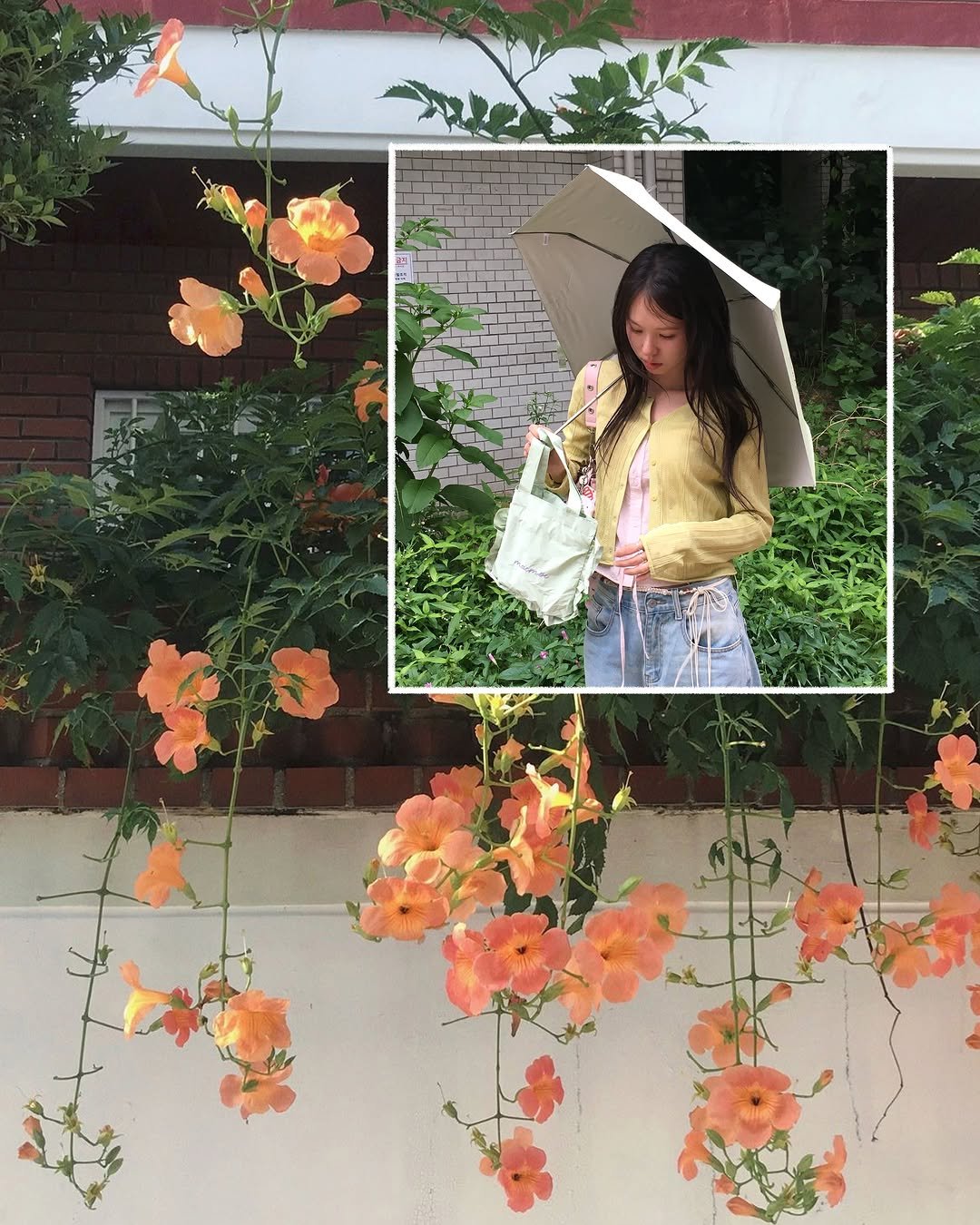 rimzzang_kim 게시물 이미지: 이제는 필수가된 양산.‎˖٭☂
@mac_moc