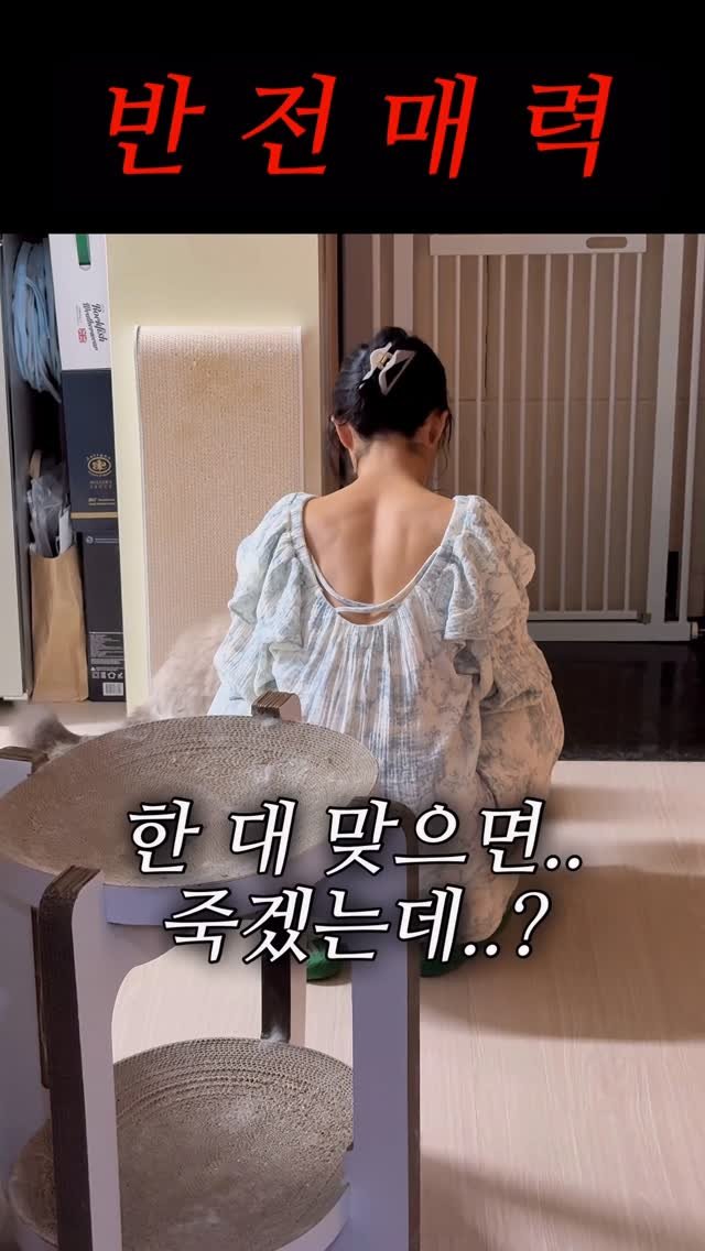 rin2_sun2 게시물 이미지: 얼굴을 에겐, 몸은 테토 #여자친구 #반전매력 #reels