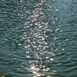 mumu_days__ 프로필 사진