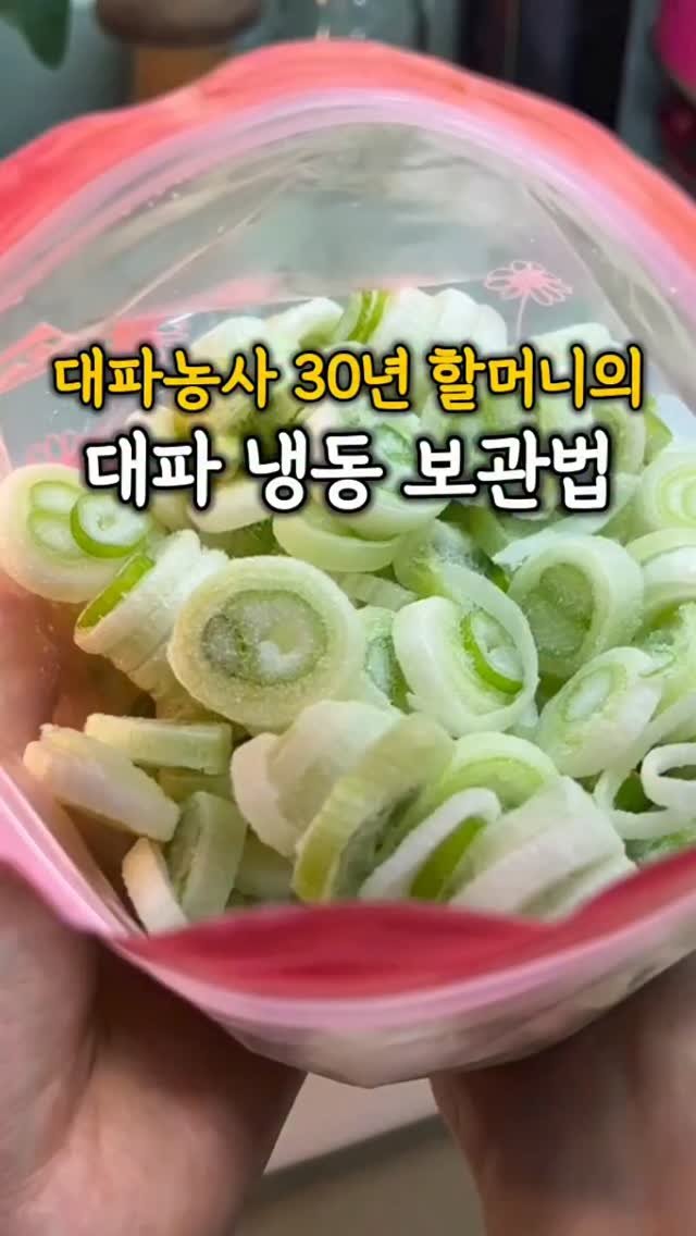 rina_homed 게시물 이미지: ​📌 댓글에 ' 대파 ' 남겨주시면 30년 농사꾼 외할머니의 대파 냉동 보관 비법을...